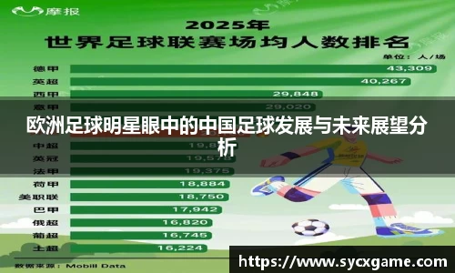 欧洲足球明星眼中的中国足球发展与未来展望分析