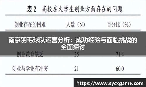 南京羽毛球队运营分析：成功经验与面临挑战的全面探讨